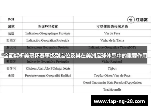 全面解析美冠杯赛事级别定位及其在美洲足球体系中的重要作用
