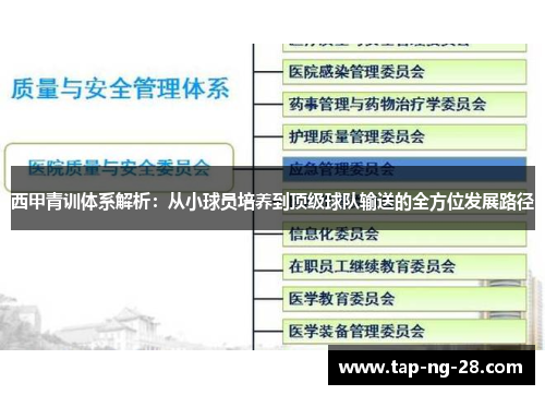 西甲青训体系解析：从小球员培养到顶级球队输送的全方位发展路径