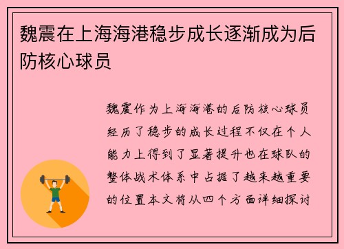 魏震在上海海港稳步成长逐渐成为后防核心球员